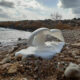 JB Paros Marble Sculptures 2021