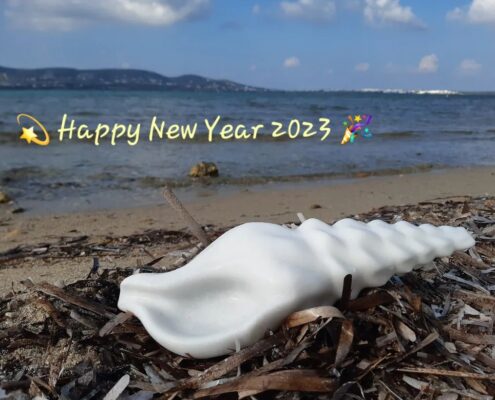 Coquillage Lychnitis marble