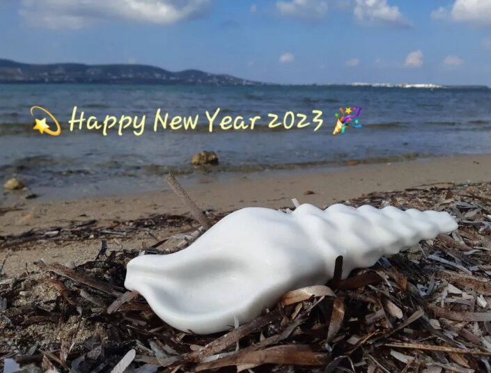 Coquillage Lychnitis marble